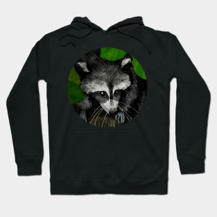 raccoon Hoodie